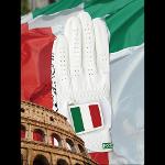 [골프스킨 골프장갑] 이탈리아 - 최상의그립감 미끄럼방지 세탁가능 특수원단 스마트폰터치 (왼손)